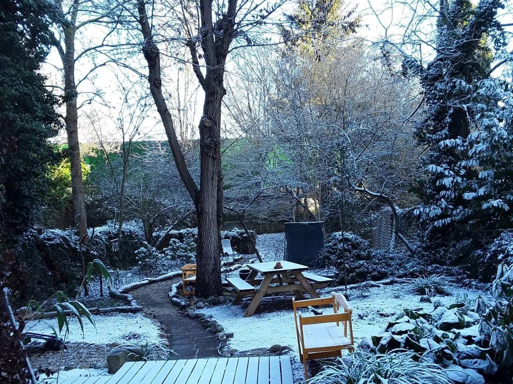 Die Sauna im Viertel