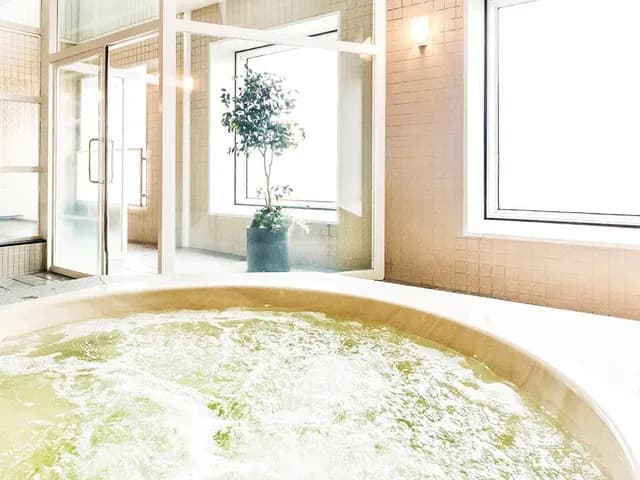 Hanshin Sauna