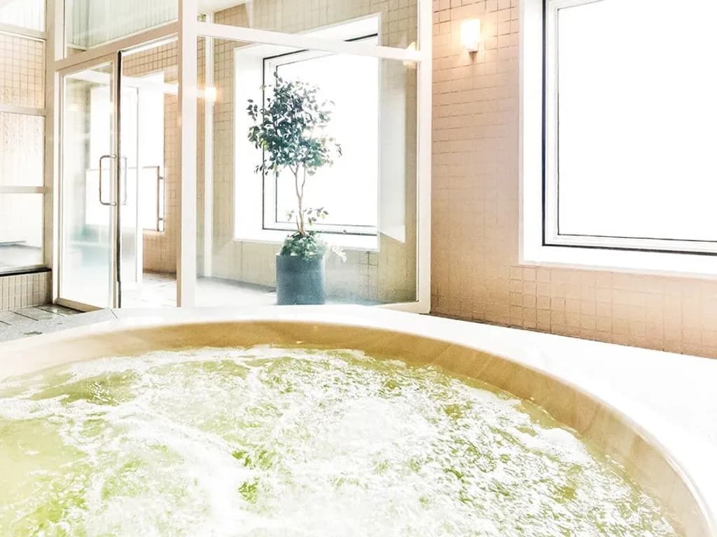 Hanshin Sauna