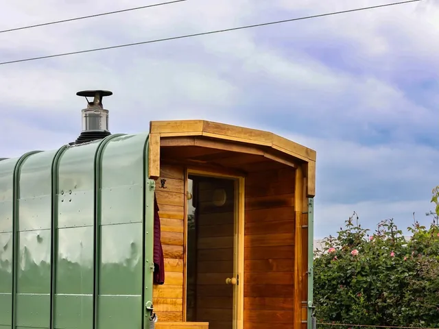 Revivo Sauna