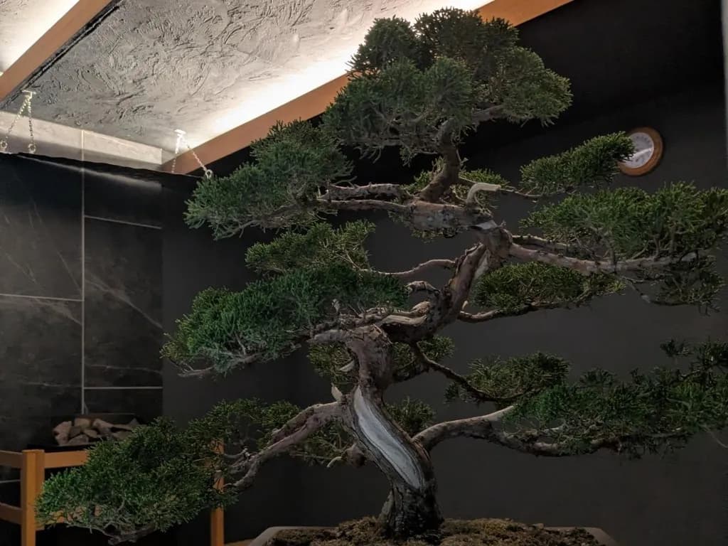 Sauna Kurakuen