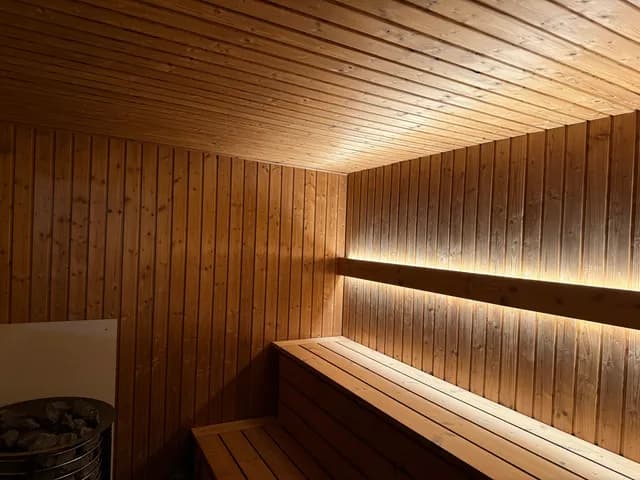 SAUNA4
