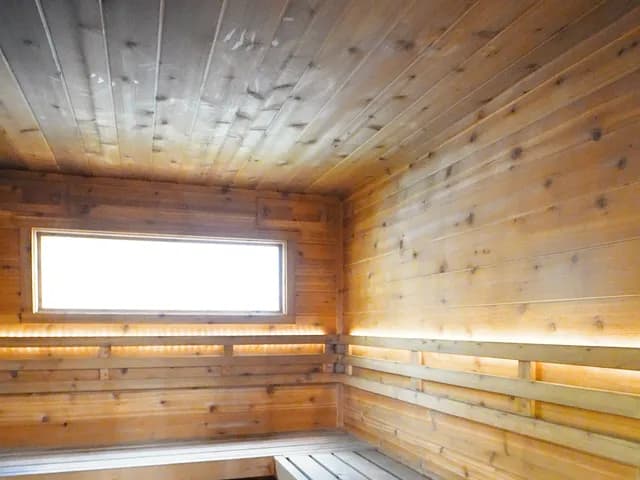The Sauna Guys