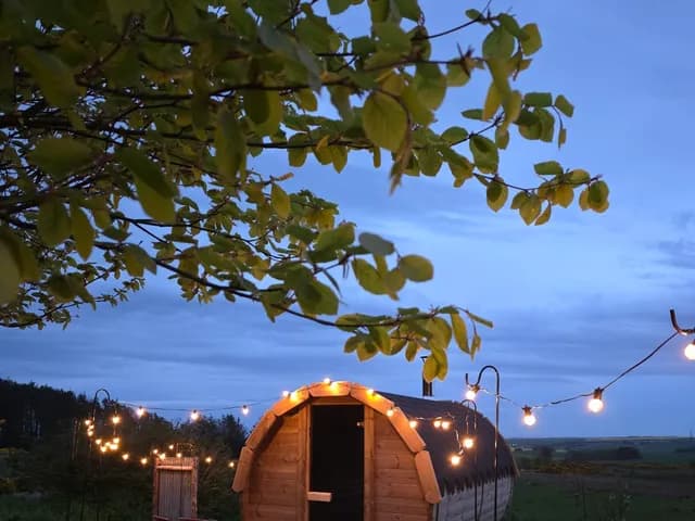 Wild Hus Tipi & Sauna