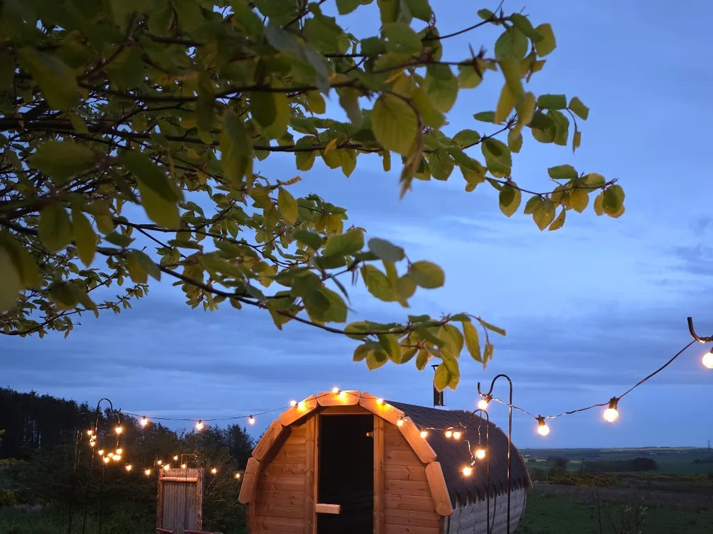 Wild Hus Tipi & Sauna